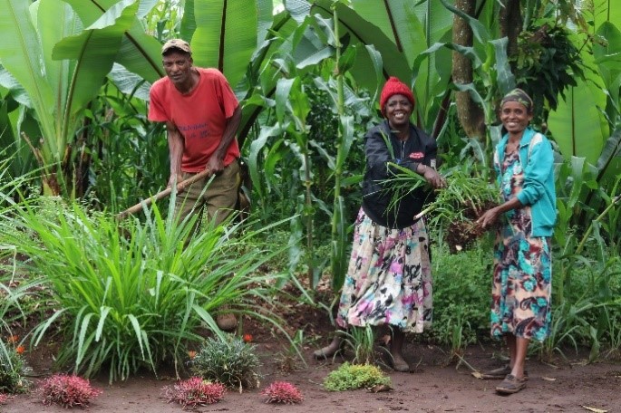 Almaz, a farmer in Ethiopia, passing on her skills and seedlings to other families in her community.