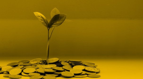 Plant surrounded by coins