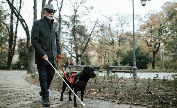 blind man walking guide dog