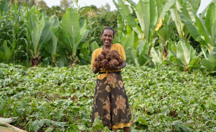 Tarikuwa on her flourishing beetroot farm in Ethiopia